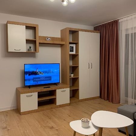 Sunny Apartment In Suceava Extérieur photo